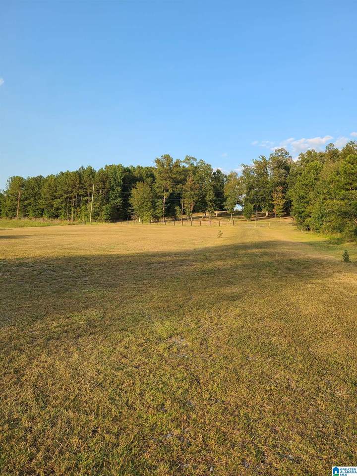 https://bt-photos.global.ssl.fastly.net/birmingham/1280_boomver_1_21446017-2.jpg