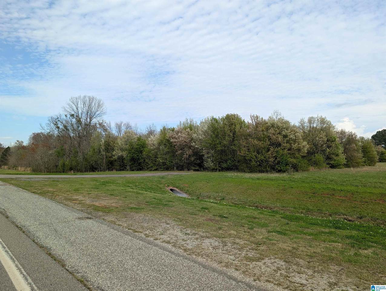 0 (4 acres) Highway 21 - Photo 1