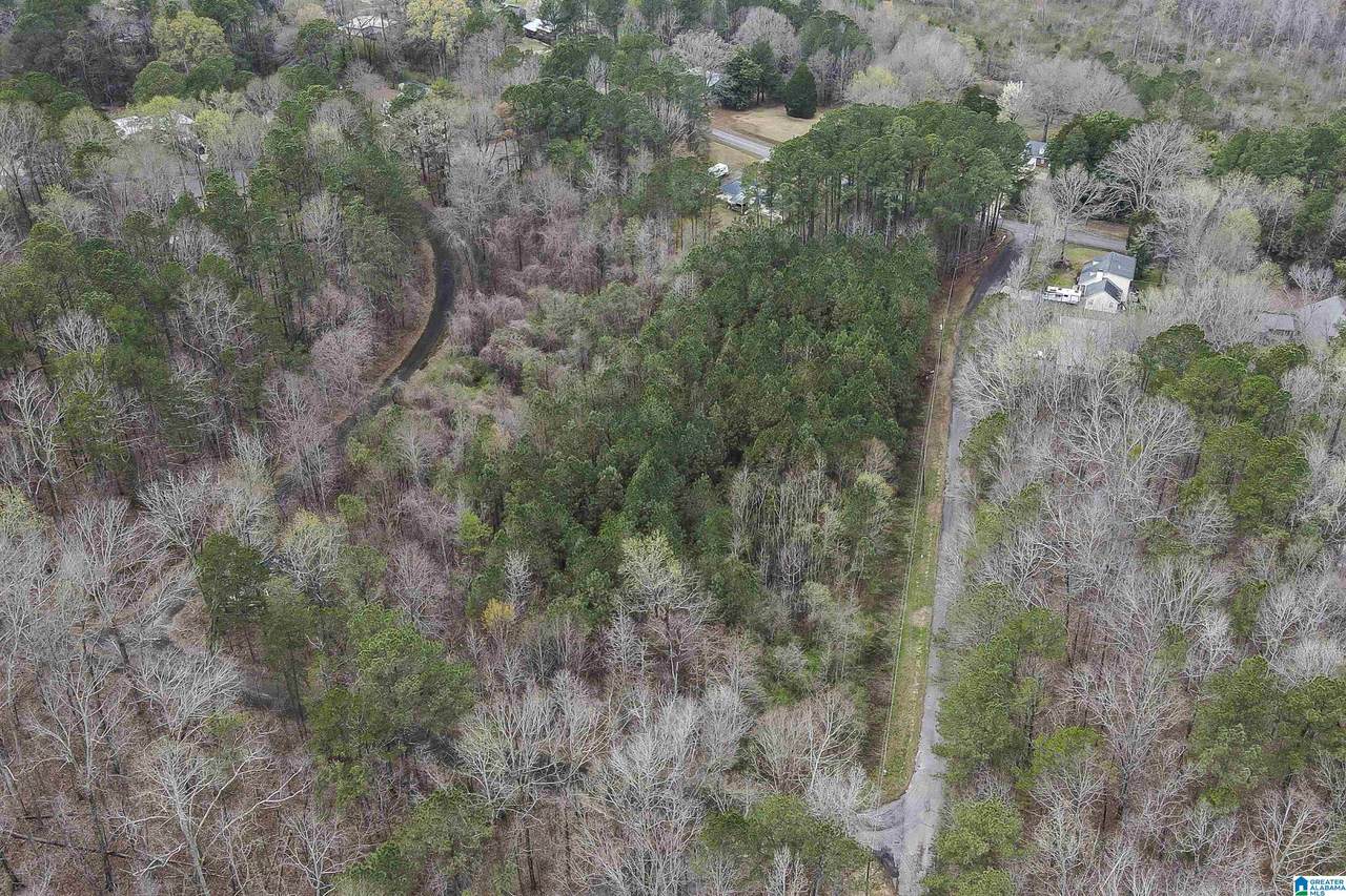 0 Woodland Court - Photo 1