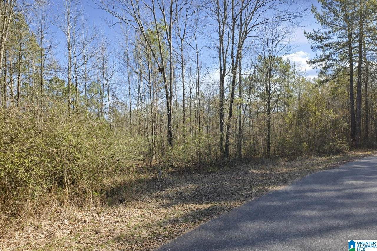 8553 Jones Road - Photo 1