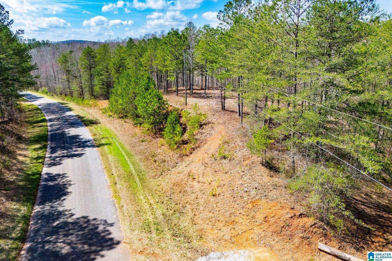 23 ACRES County Road 7 - Photo 1
