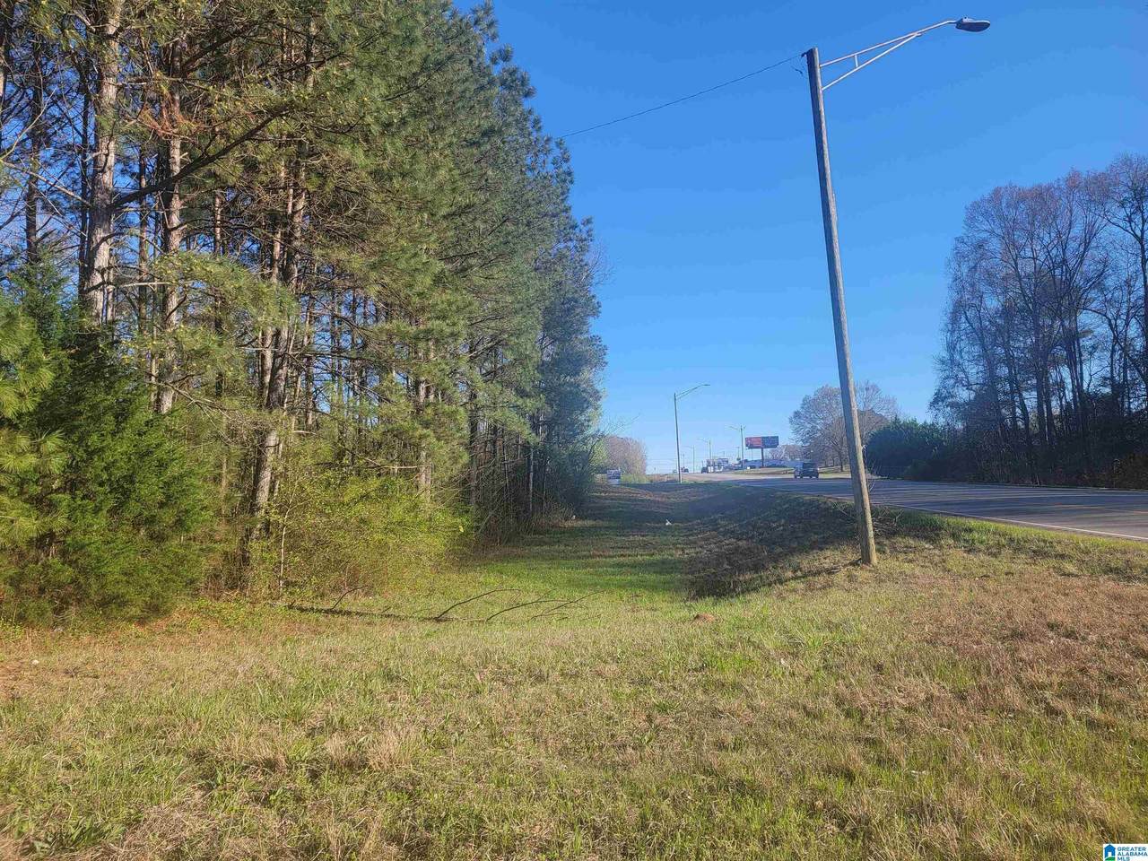 32 +/- Acres Highway 431 - Photo 1