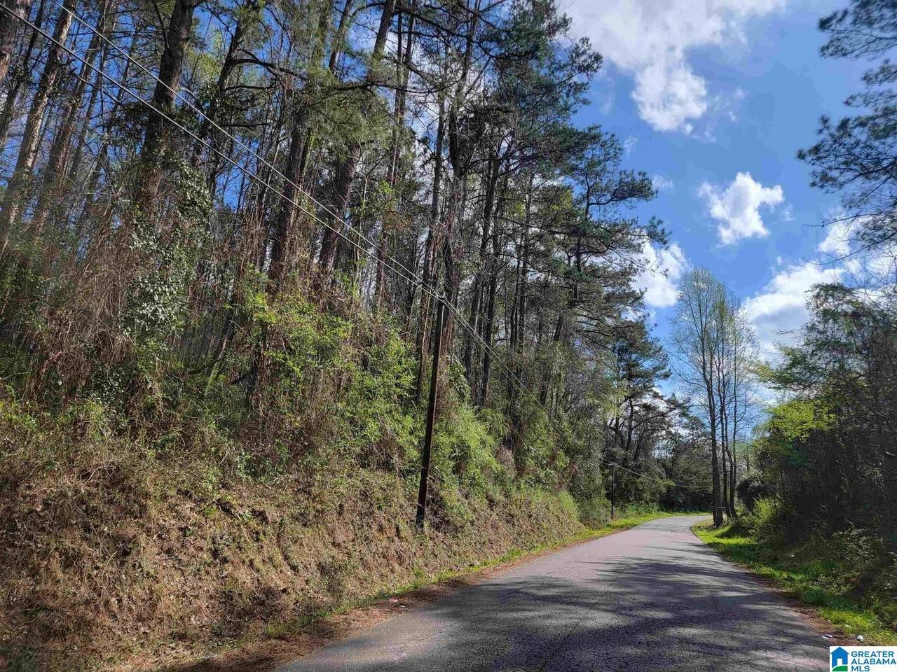 6.27 Acres Lamar Street - Photo 1