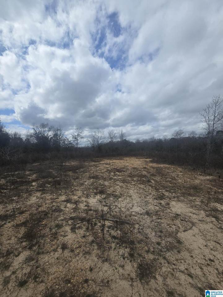 0 County Road 351 - Photo 1