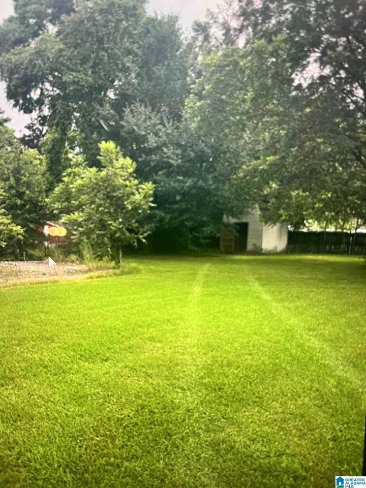 91 Vines Avenue - Photo 1