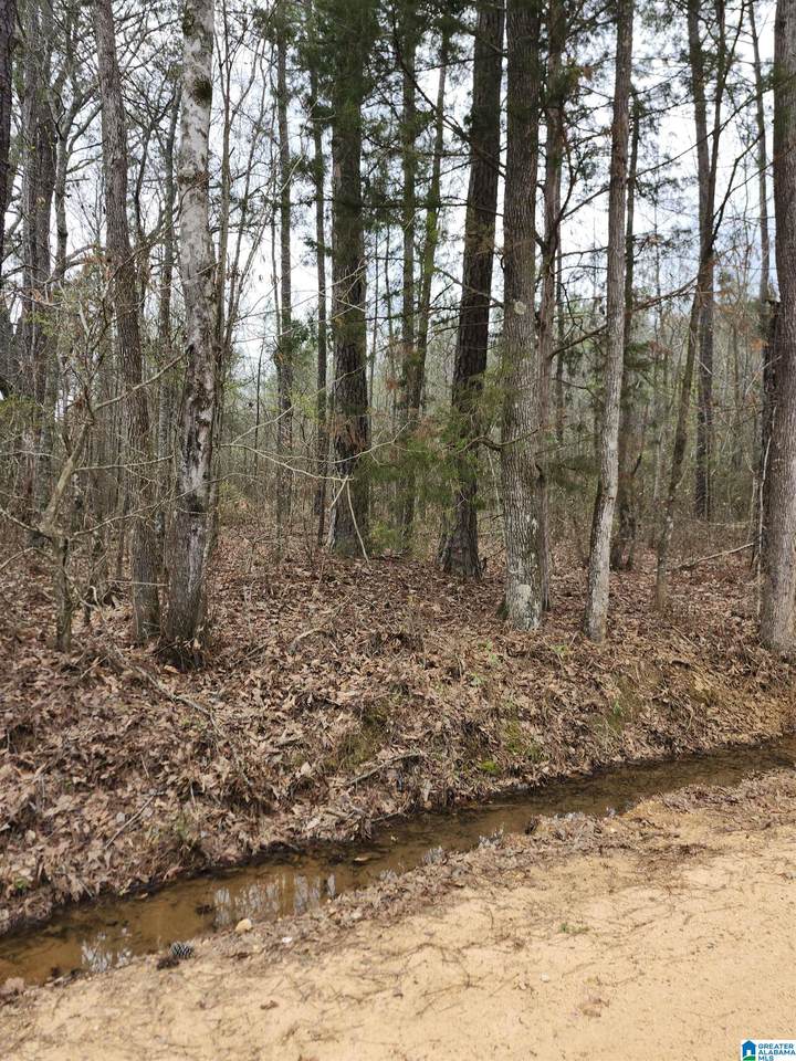0 County Road 495 - Photo 1