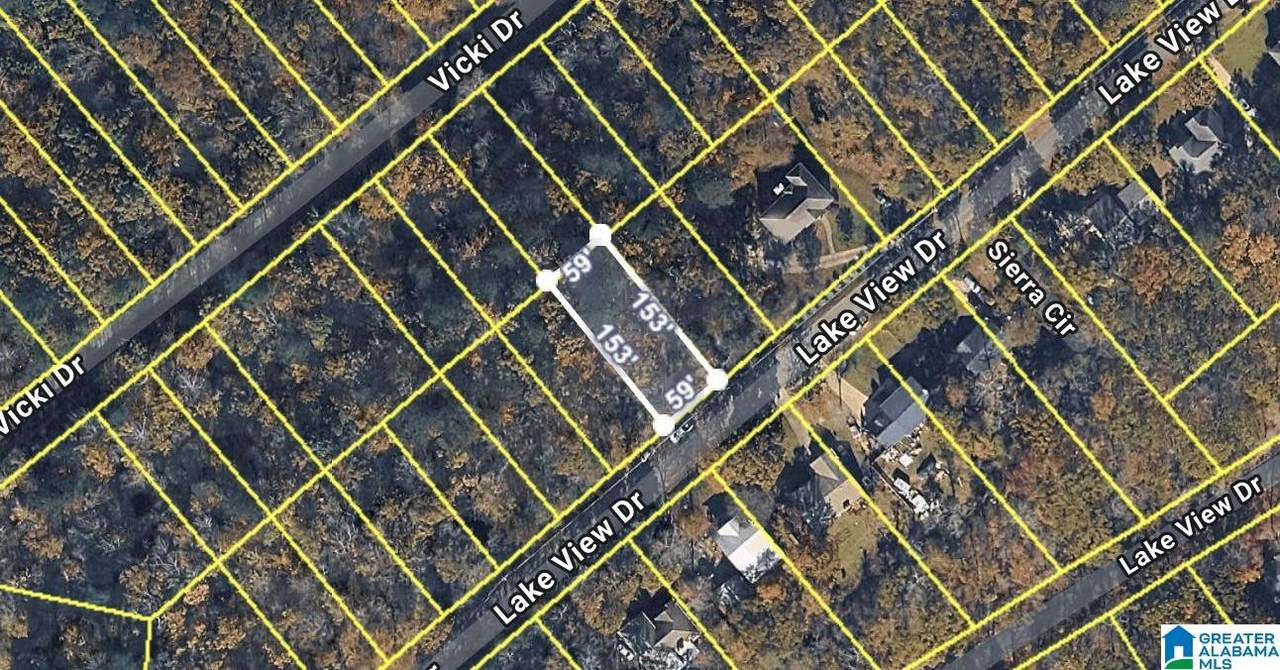 0 Lake View Drive - Photo 1