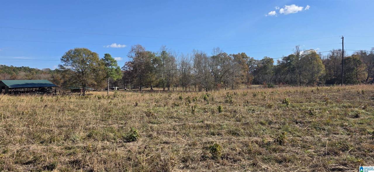 663 Graham Drive - Photo 1