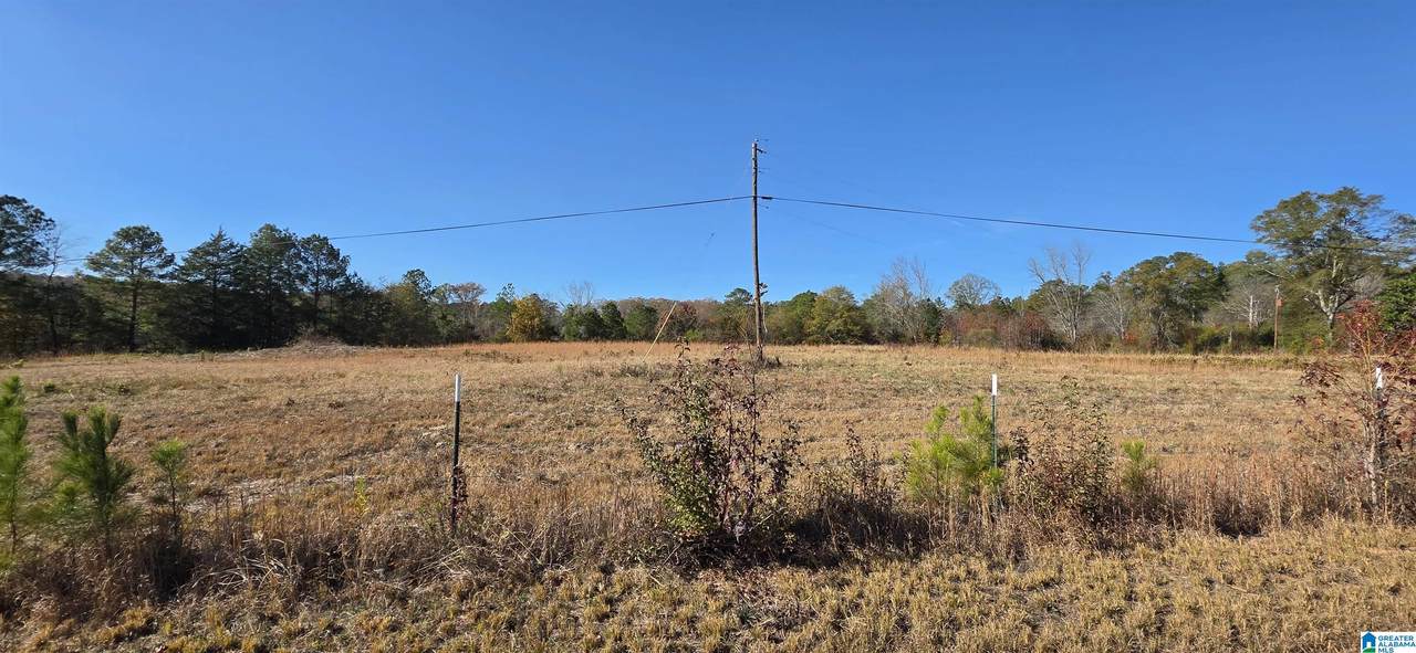 663 Graham Drive - Photo 1