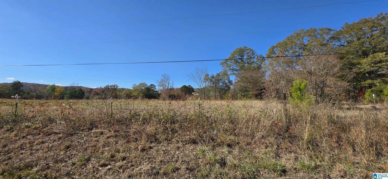 663 Graham Drive - Photo 1