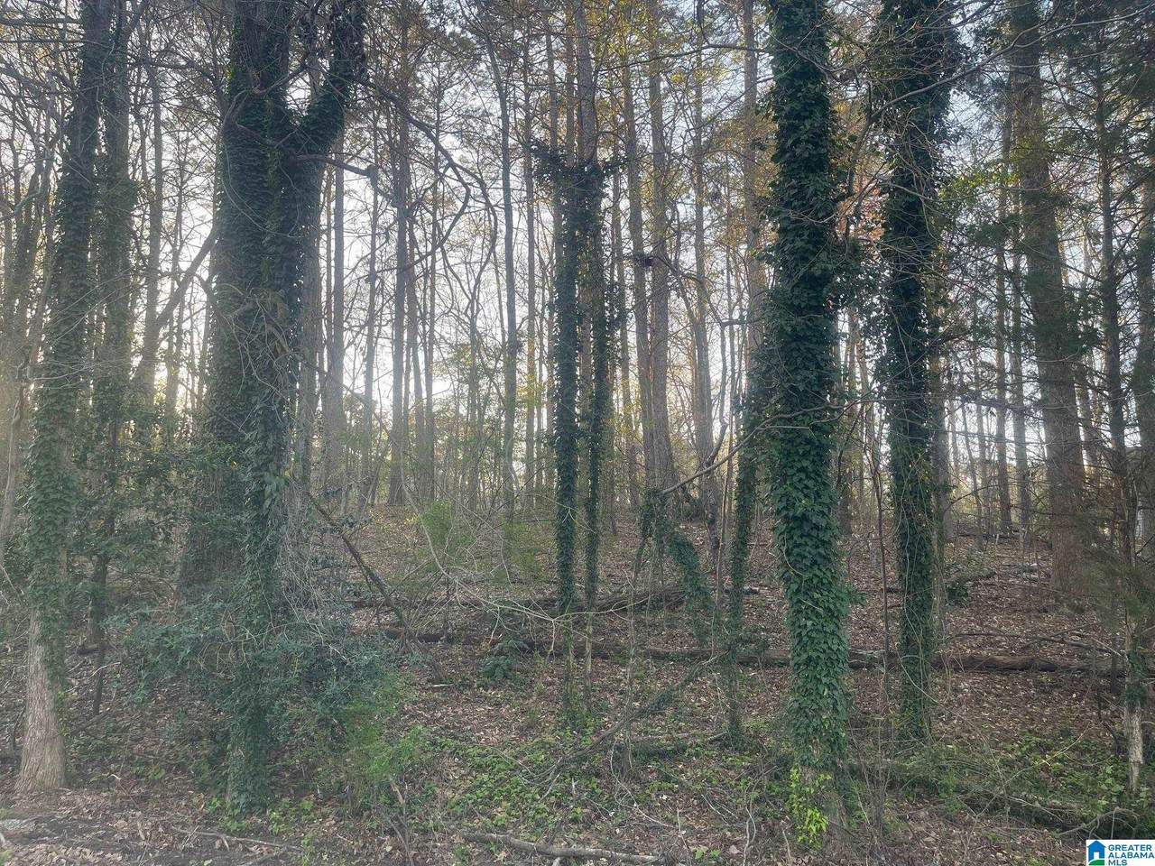 https://bt-photos.global.ssl.fastly.net/birmingham/1280_boomver_1_21446983-2.jpg