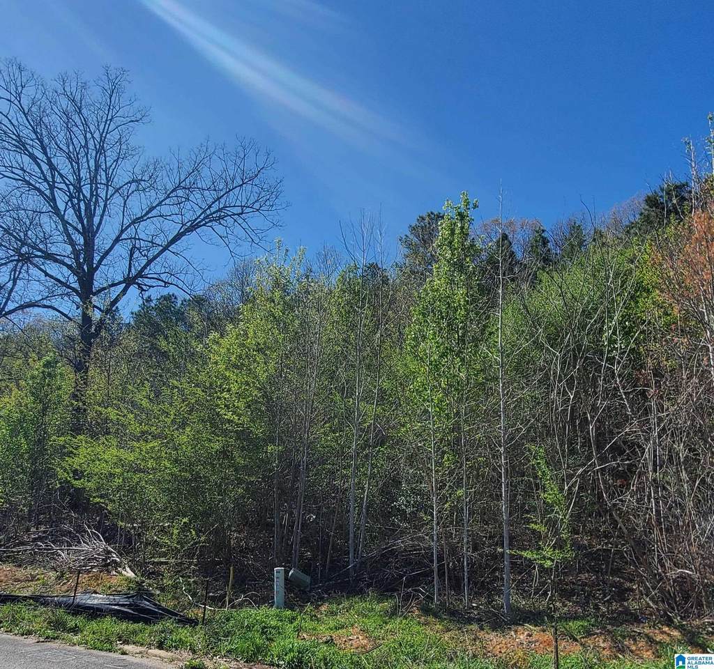 5924 High Forest Drive - Photo 1
