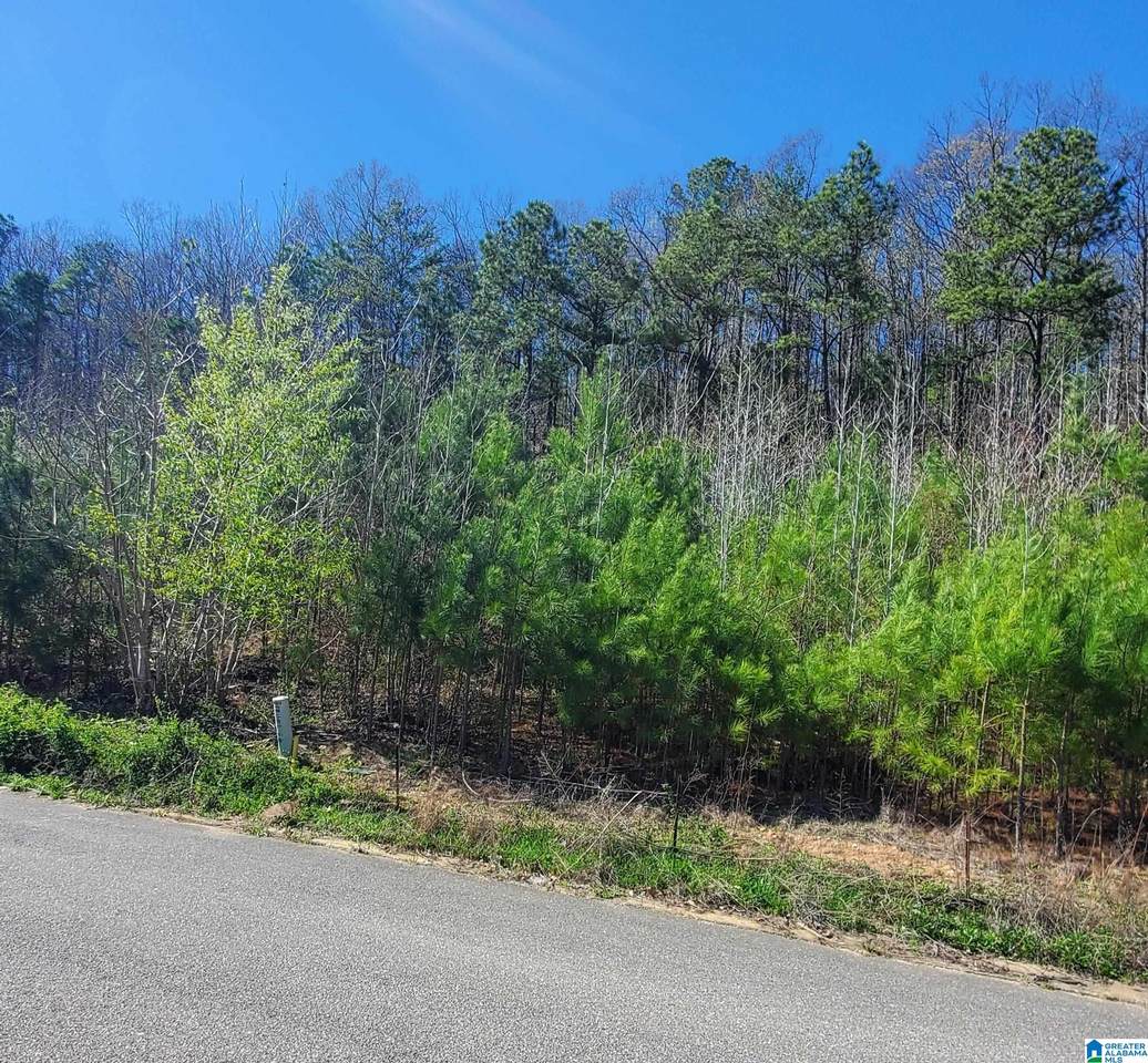 5920 High Forest Drive - Photo 1