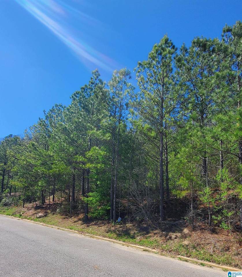 5912 High Forest Drive - Photo 1