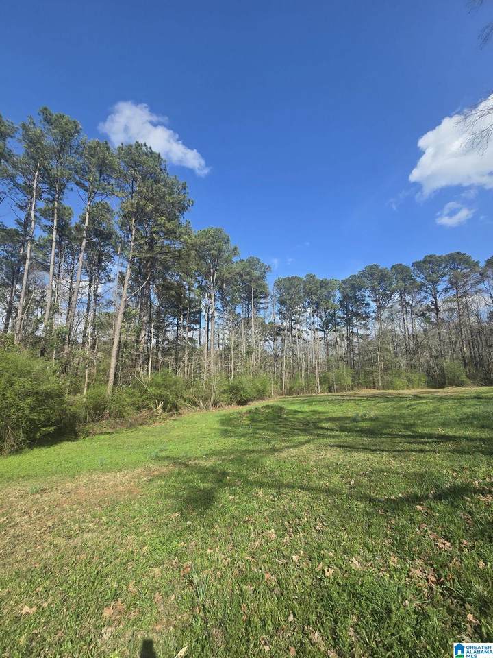 123 Wooten Road - Photo 1