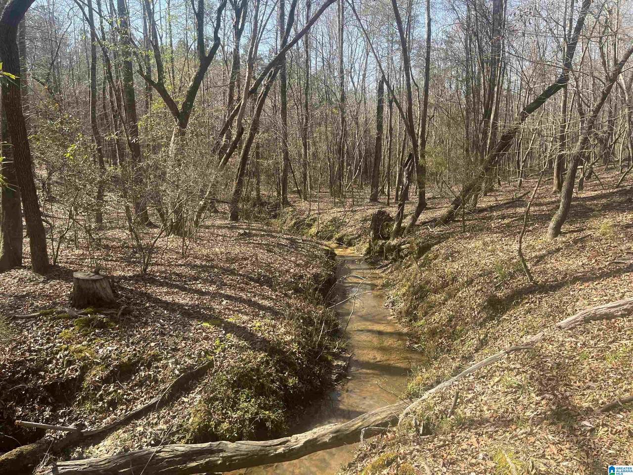 0 Crystal Lake Road - Photo 1