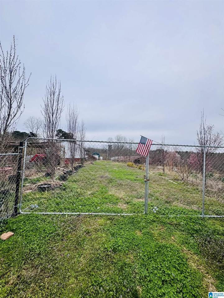 229 Graham Road - Photo 1