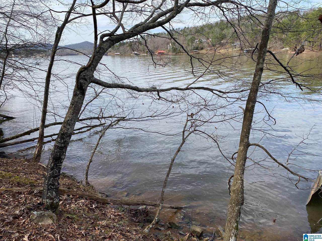  Mohawk Cliff Road - Photo 1