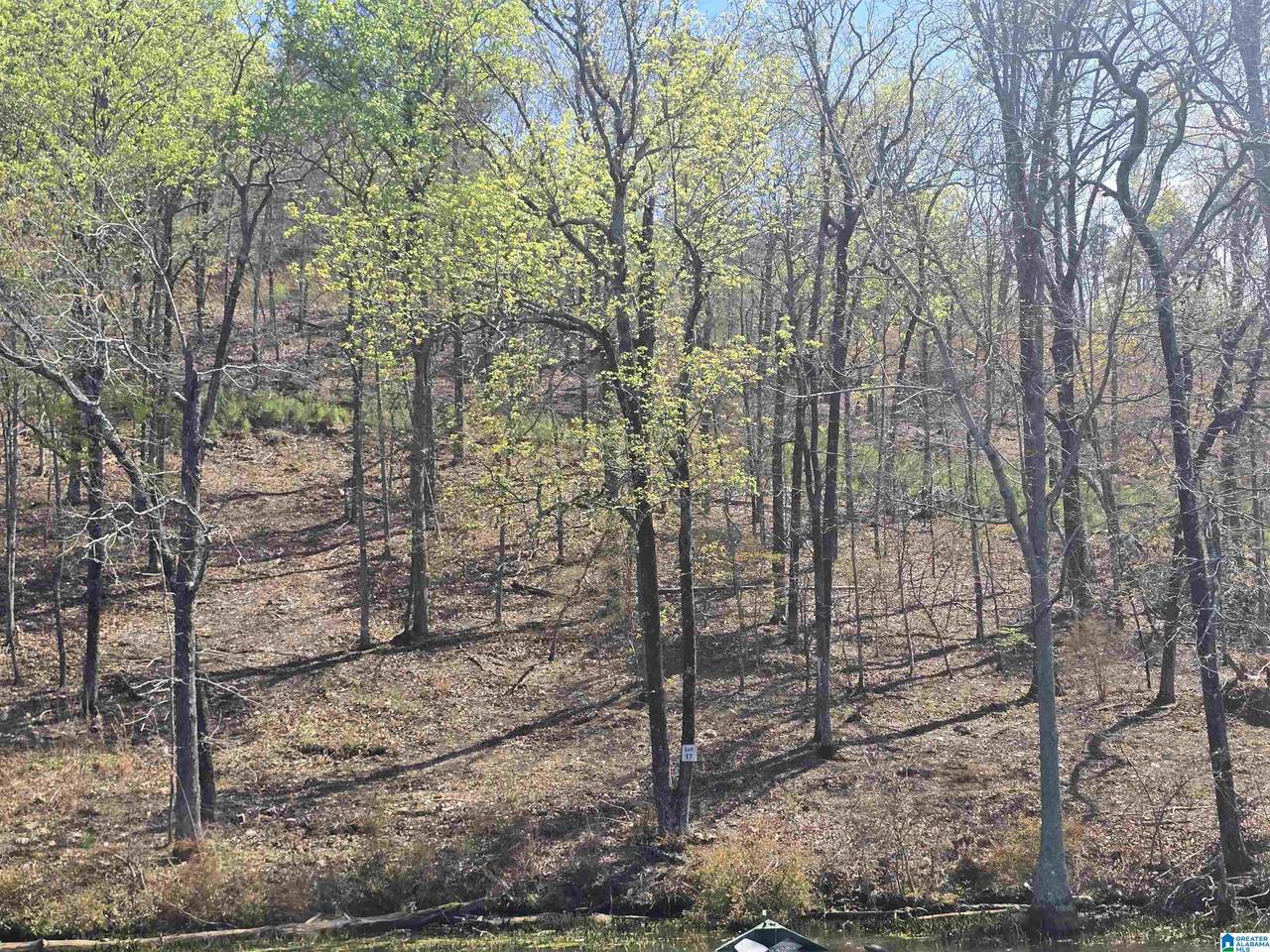 Lot 17 Eagle Point Trace - Photo 1