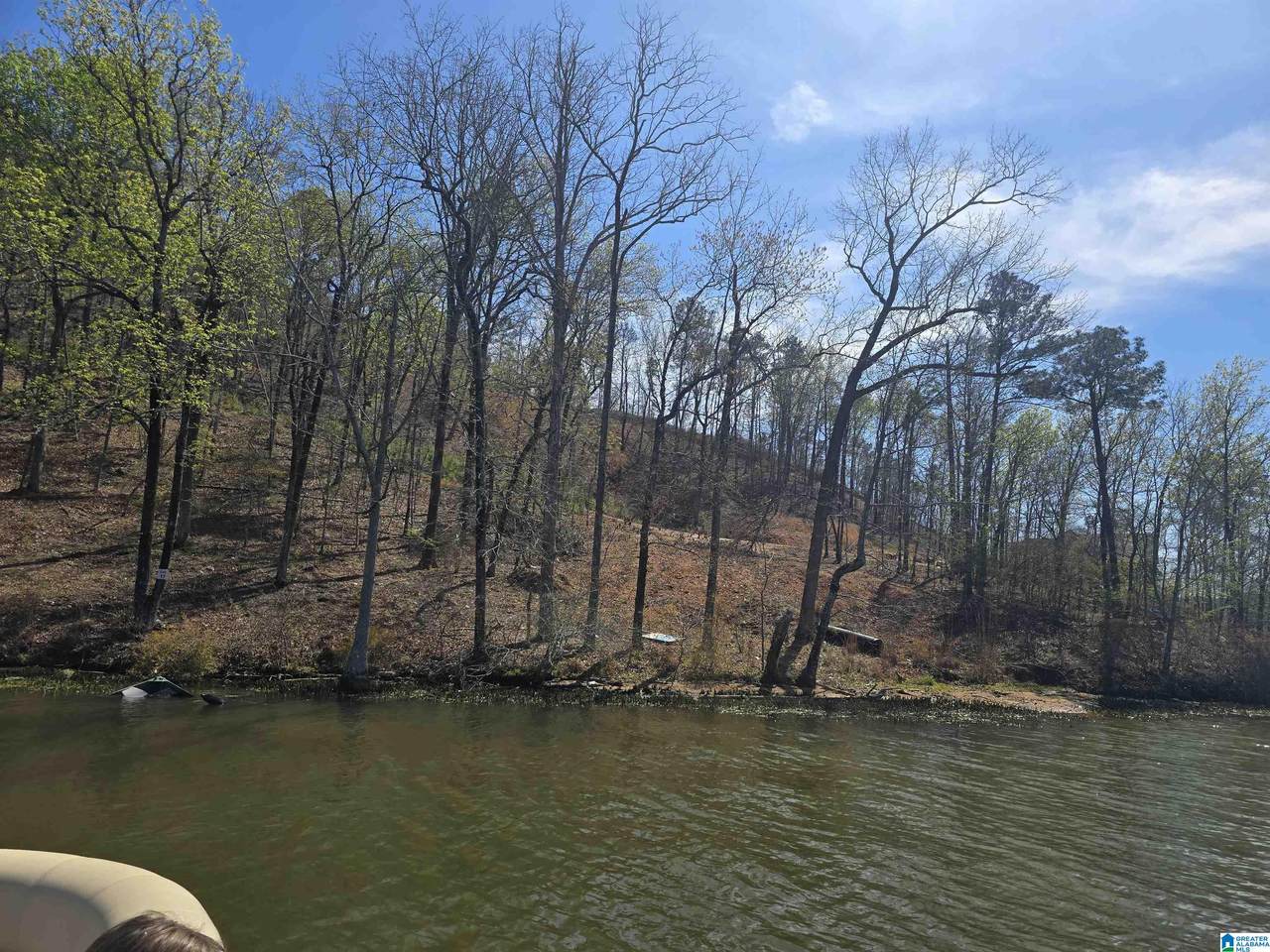 Lot 18 Eagle Point Trace - Photo 1