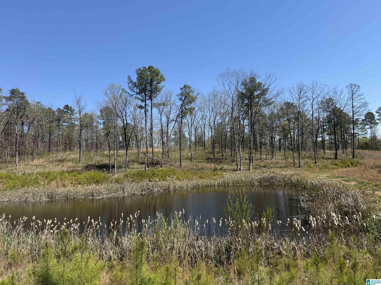 0 County Road 51 - Photo 1