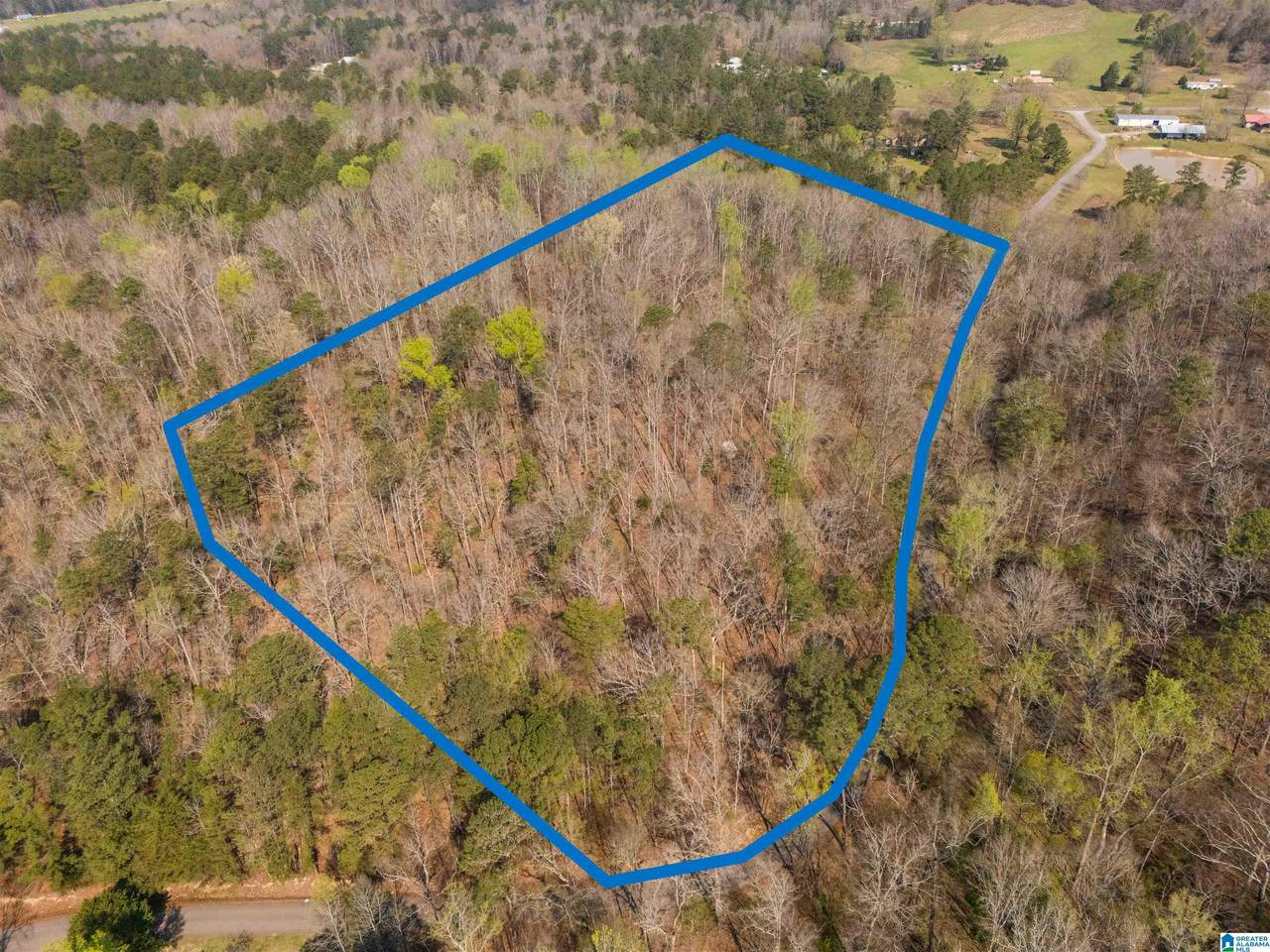 12 Acres Allison Lane - Photo 1