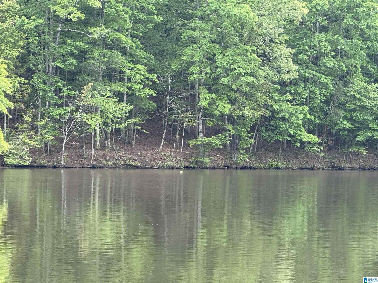 Lot 1 Old Highway 431 - Photo 1