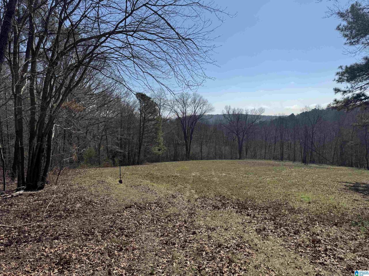 0 County Road 57 - Photo 1