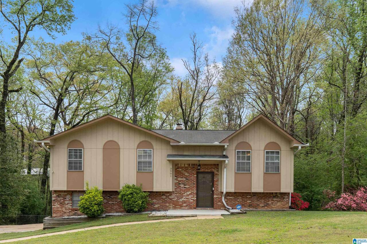 3901 Debby Drive - Photo 1