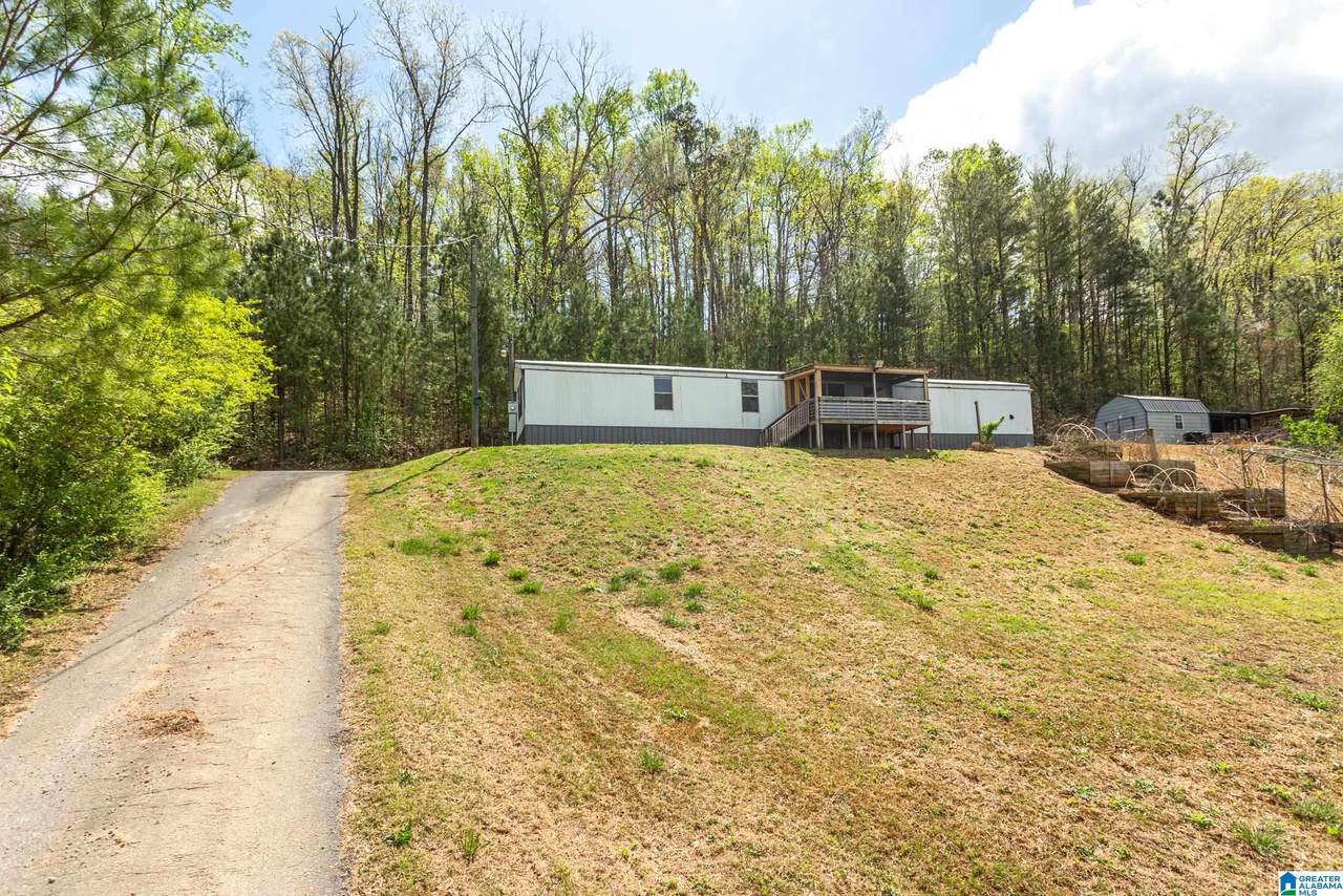143 Dark Hollow Road - Photo 1