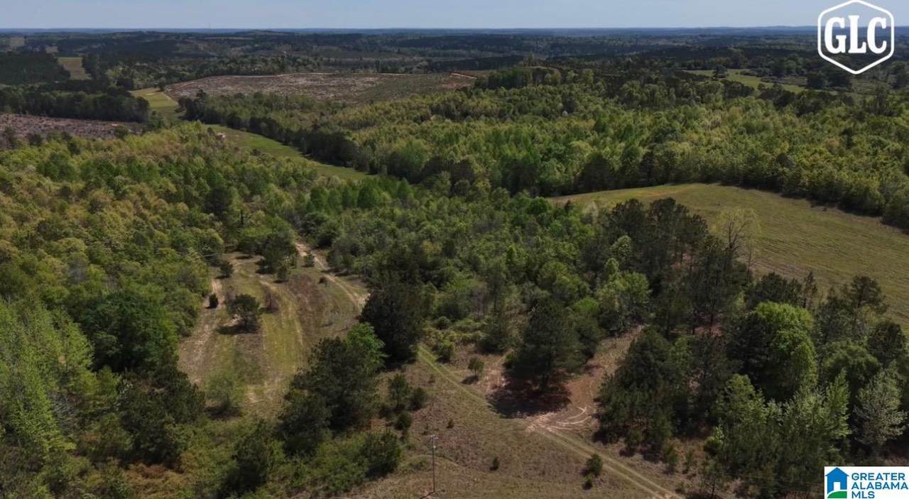 1600 County Road 125 - Photo 1