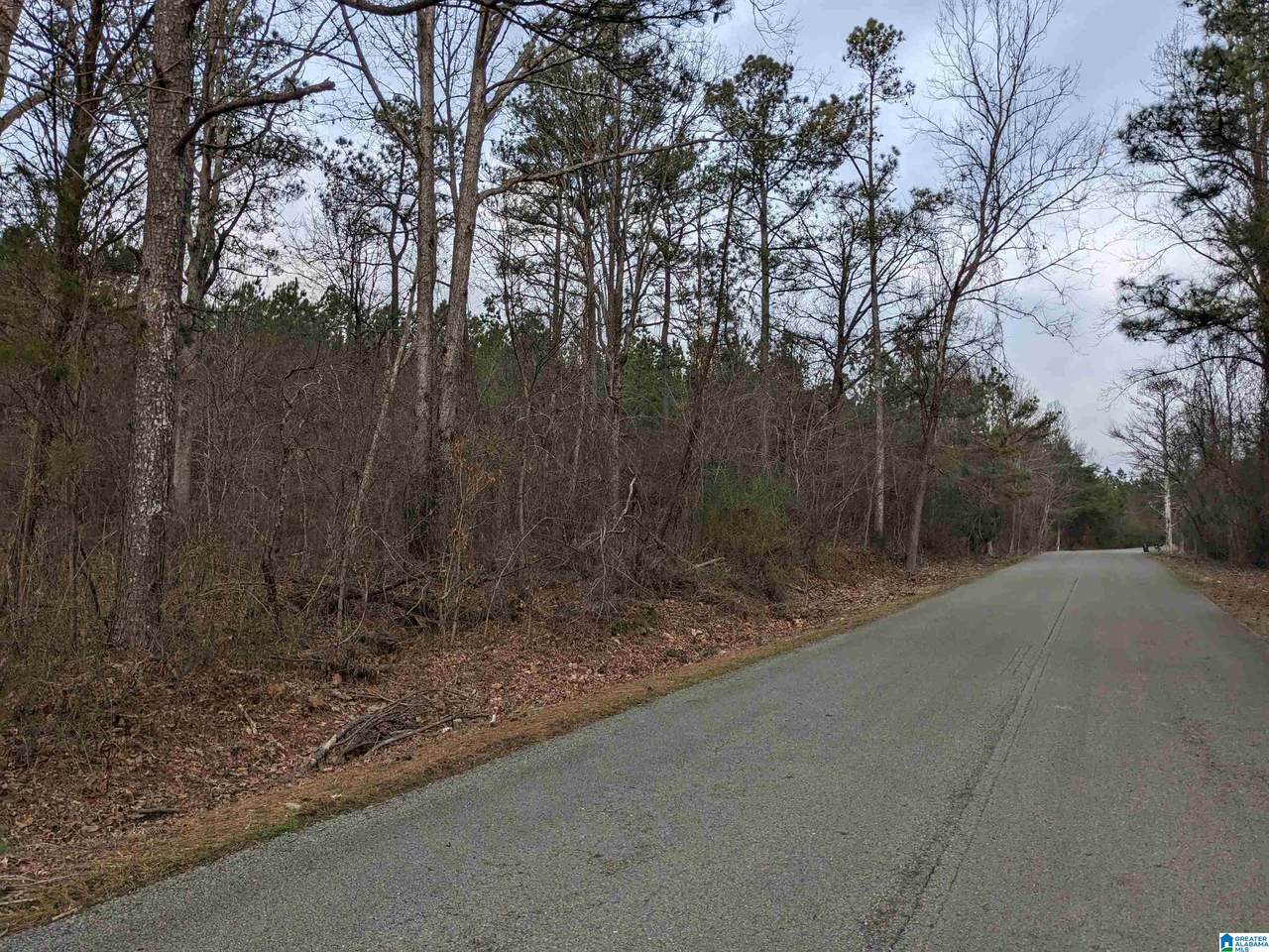 0 County Road 183 - Photo 1