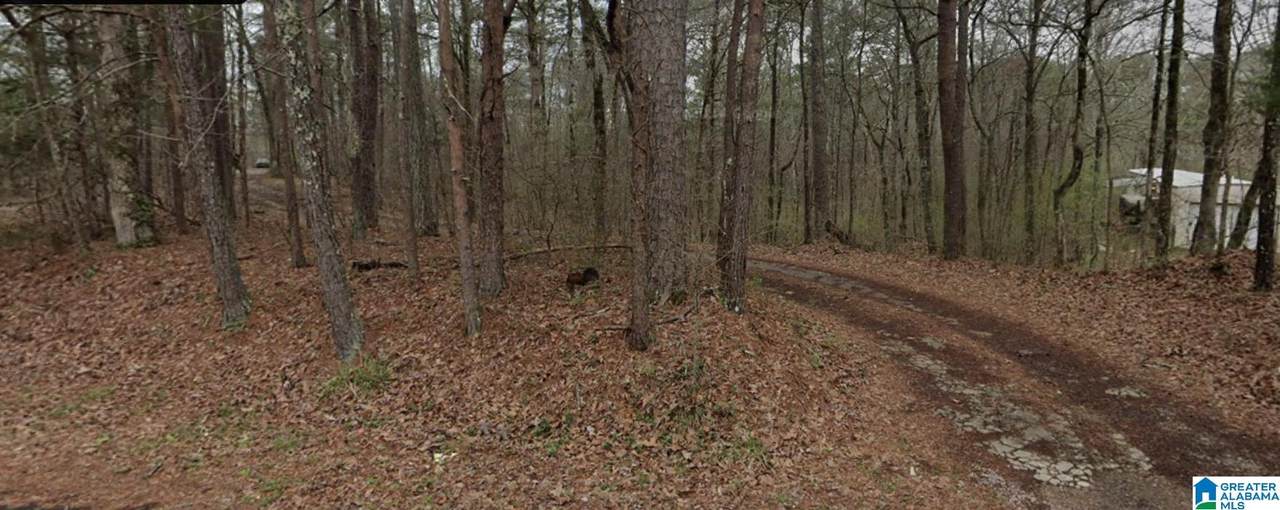 7420 Dewey Goodwin Road - Photo 1