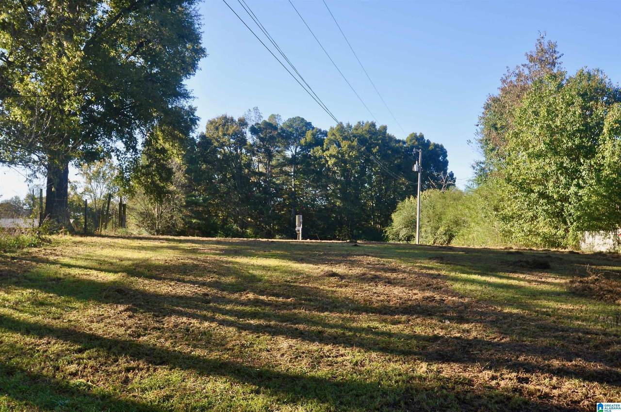 481 County Road 1122 - Photo 1