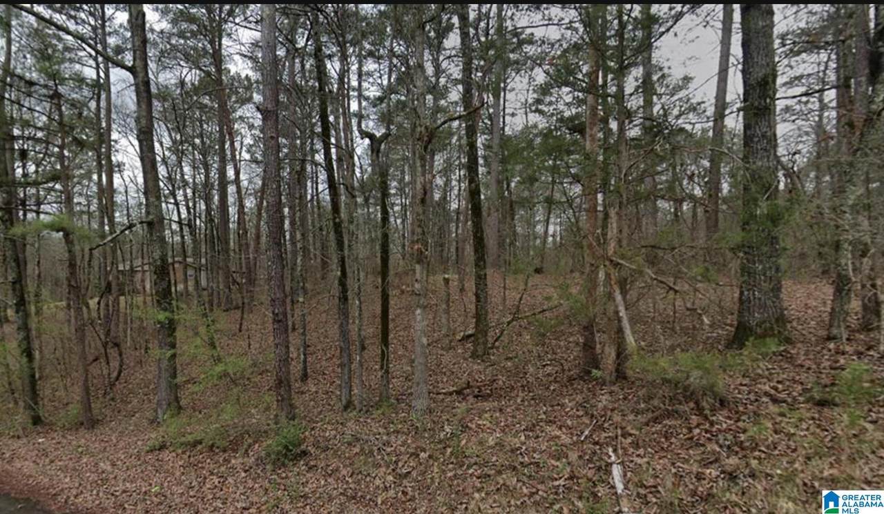 7410 Dewey Goodwin Road - Photo 1