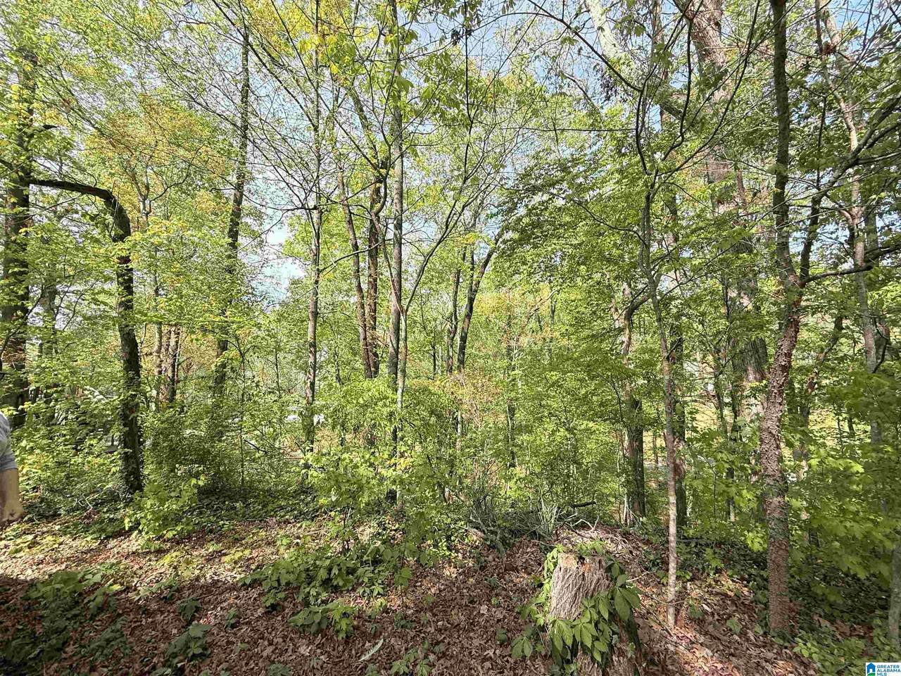 4 Dogwood Road - Photo 1
