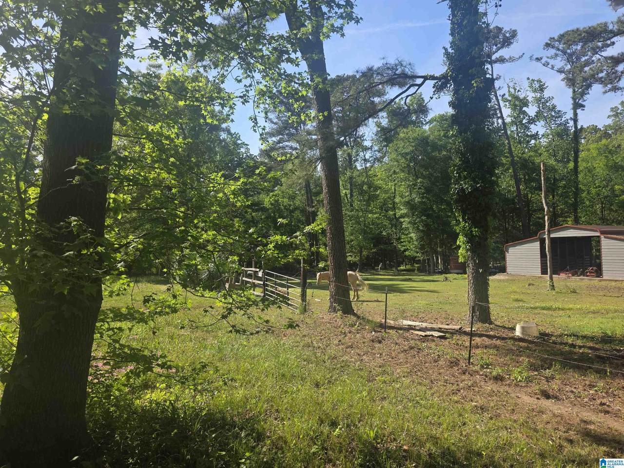 2735 Forestdale Boulevard - Photo 1