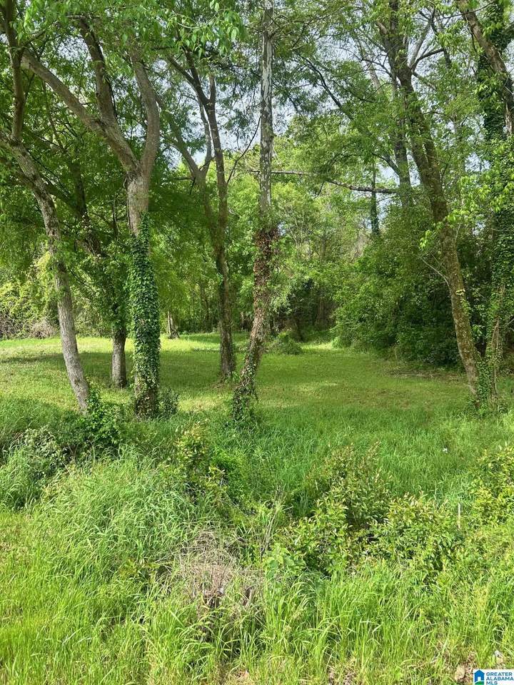 1008 Columbiana Road - Photo 1
