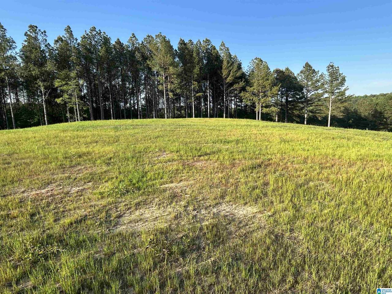 00 County Road 367 - Photo 1