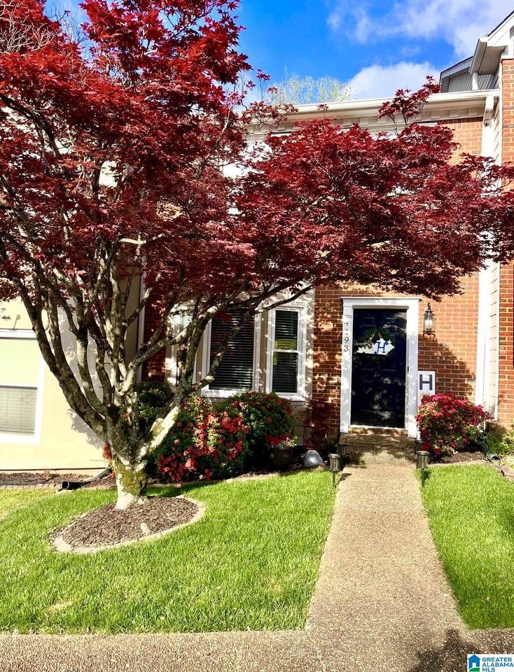 4193 River Oaks Drive - Photo 1