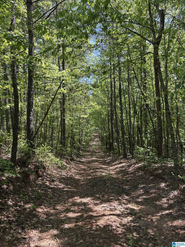 0 County Road 26 - Photo 1