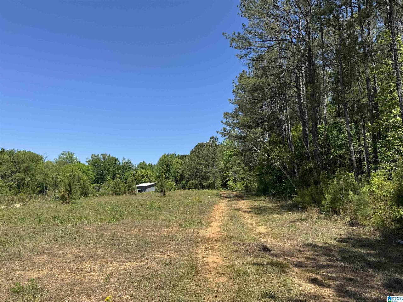  Satterwhite Street - Photo 1