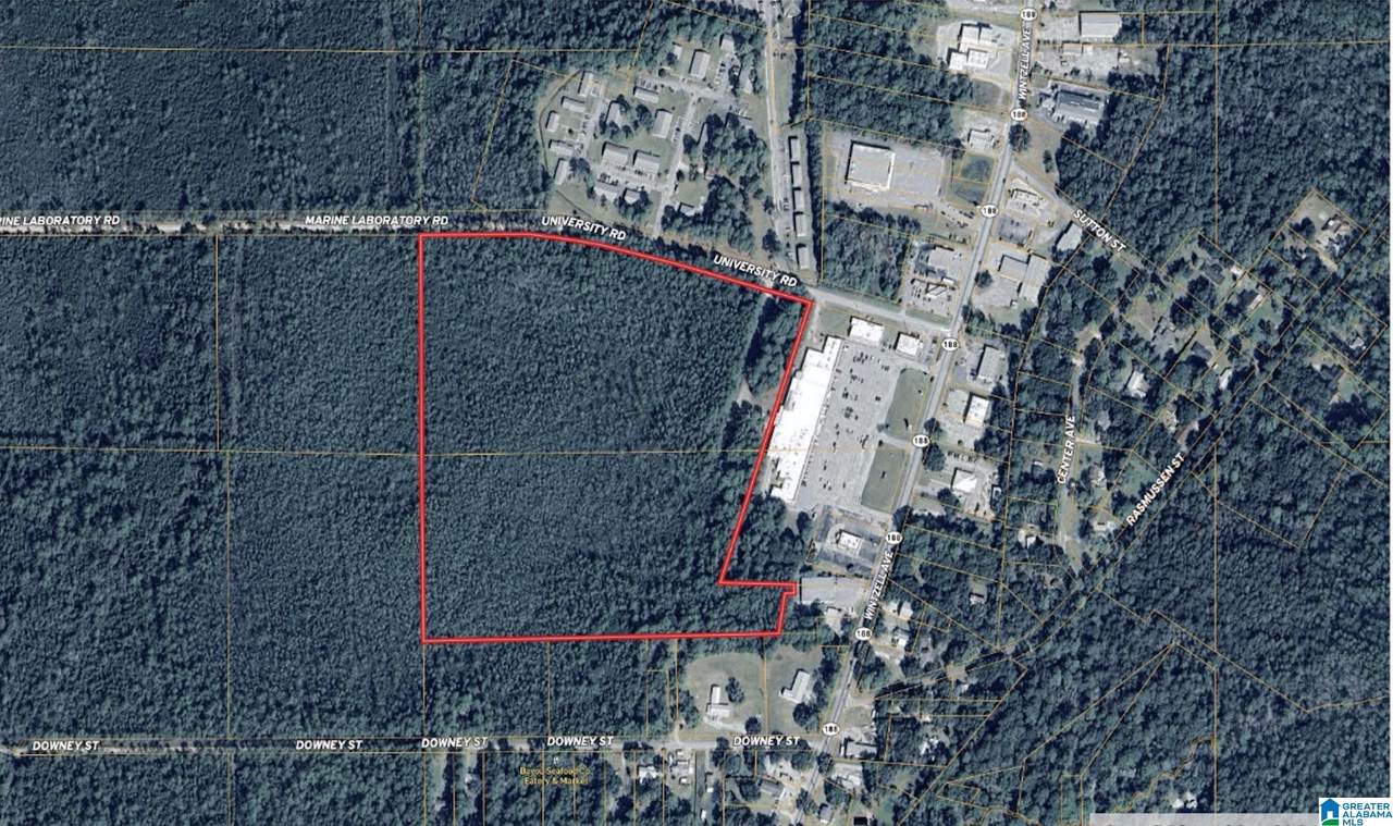 8701 University Road - Photo 1