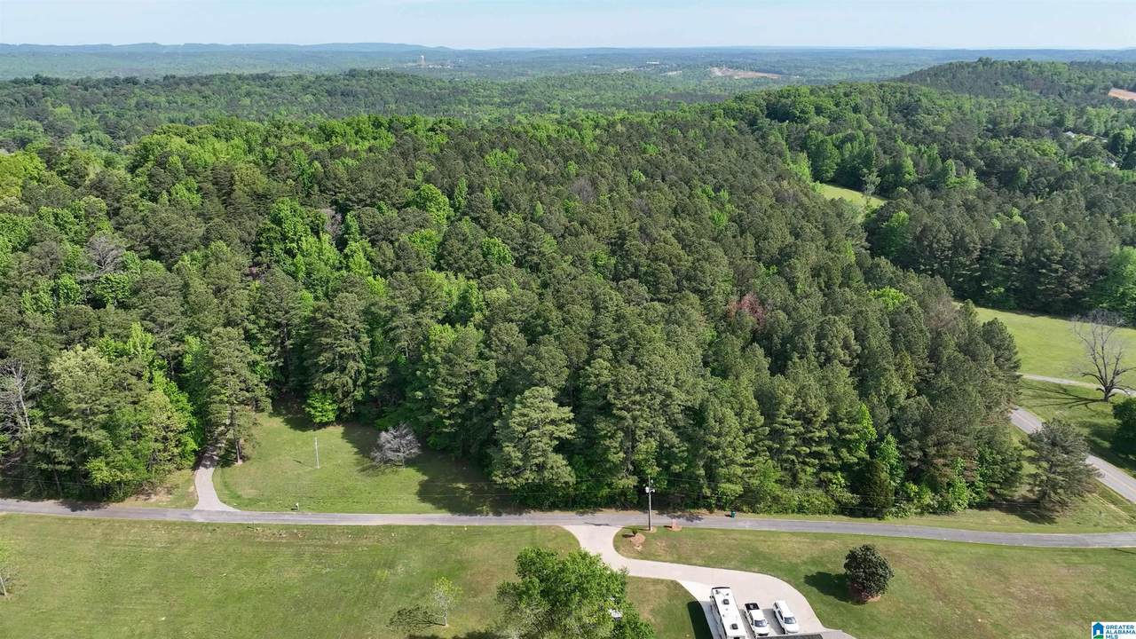 0 Old Sawmill Road - Photo 1