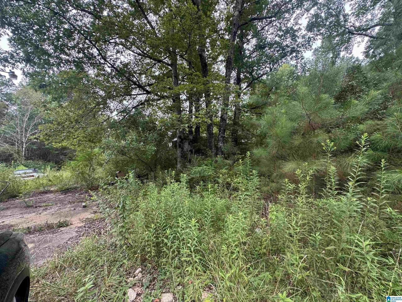204 County Road - Photo 1