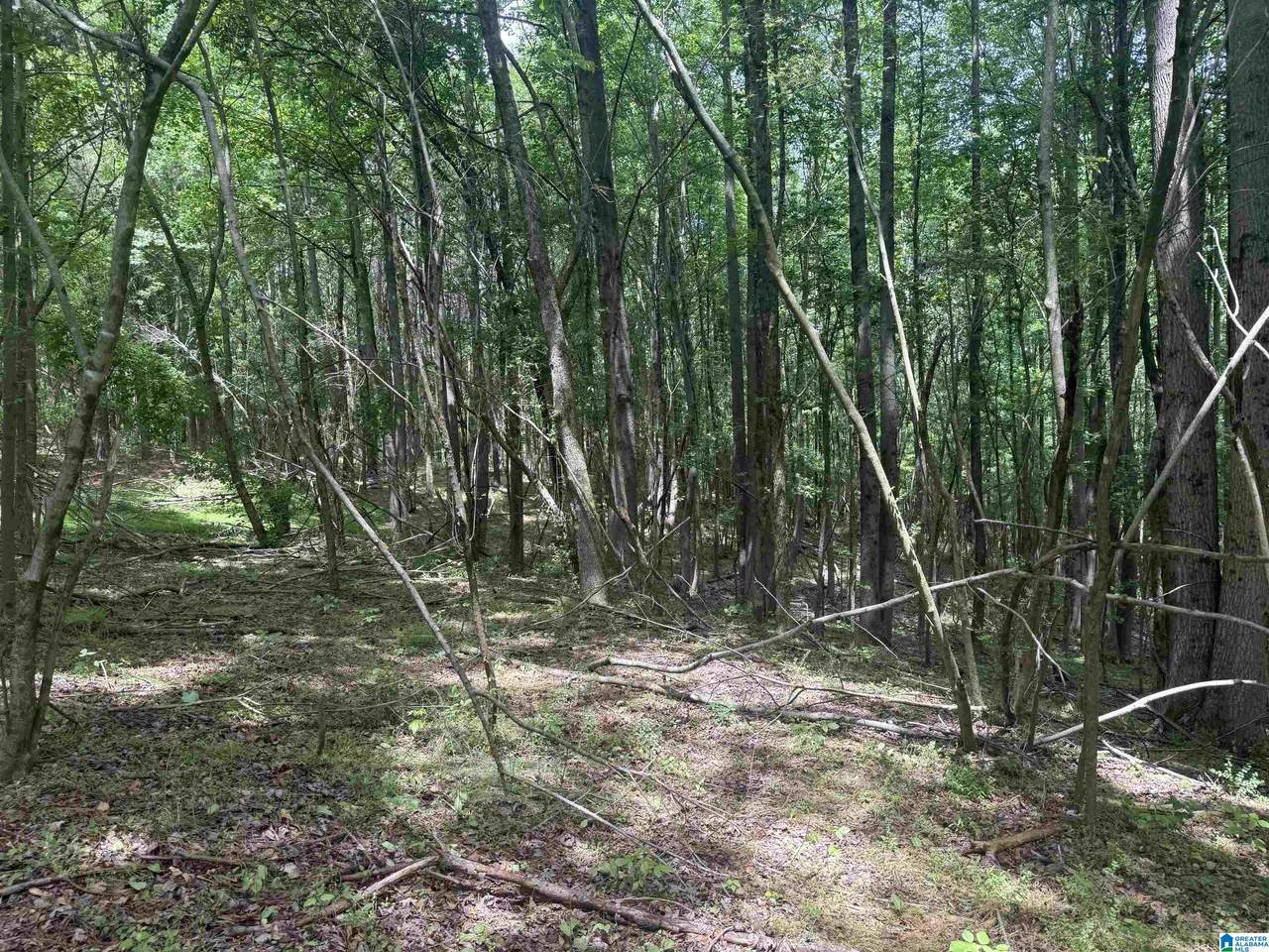 1 County Road 670 - Photo 1