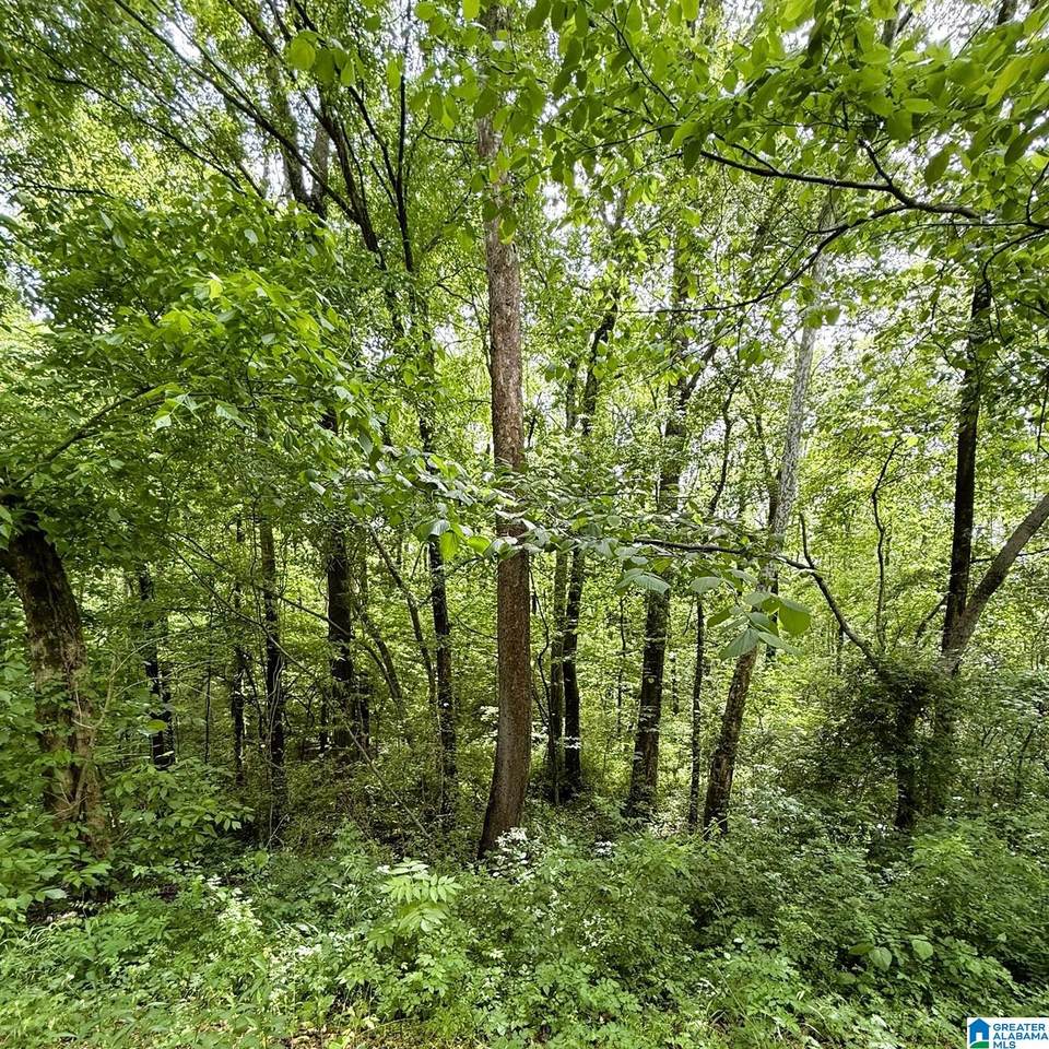 https://bt-photos.global.ssl.fastly.net/birmingham/1280_boomver_1_21451560-2.jpg