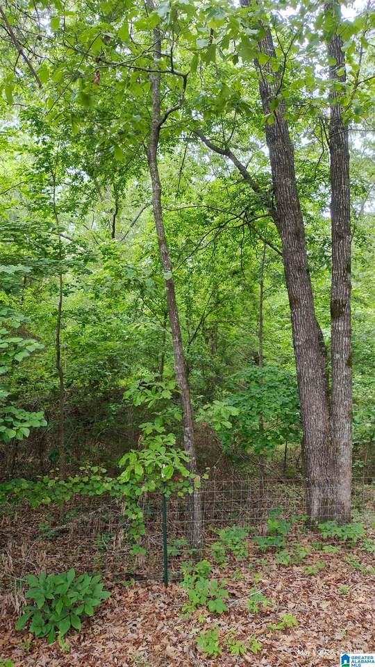 350 Paradise Acres - Photo 1