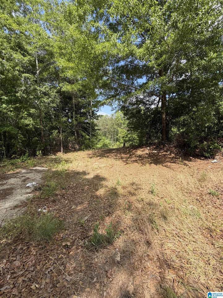 1755 County Road 19 - Photo 1