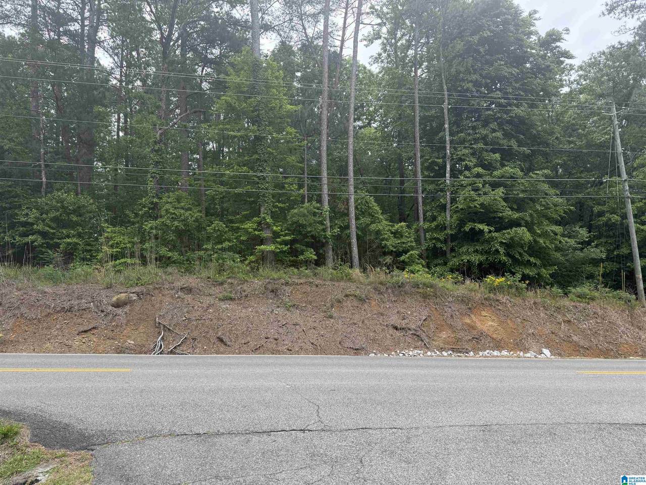903 Morris Majestic Road - Photo 1